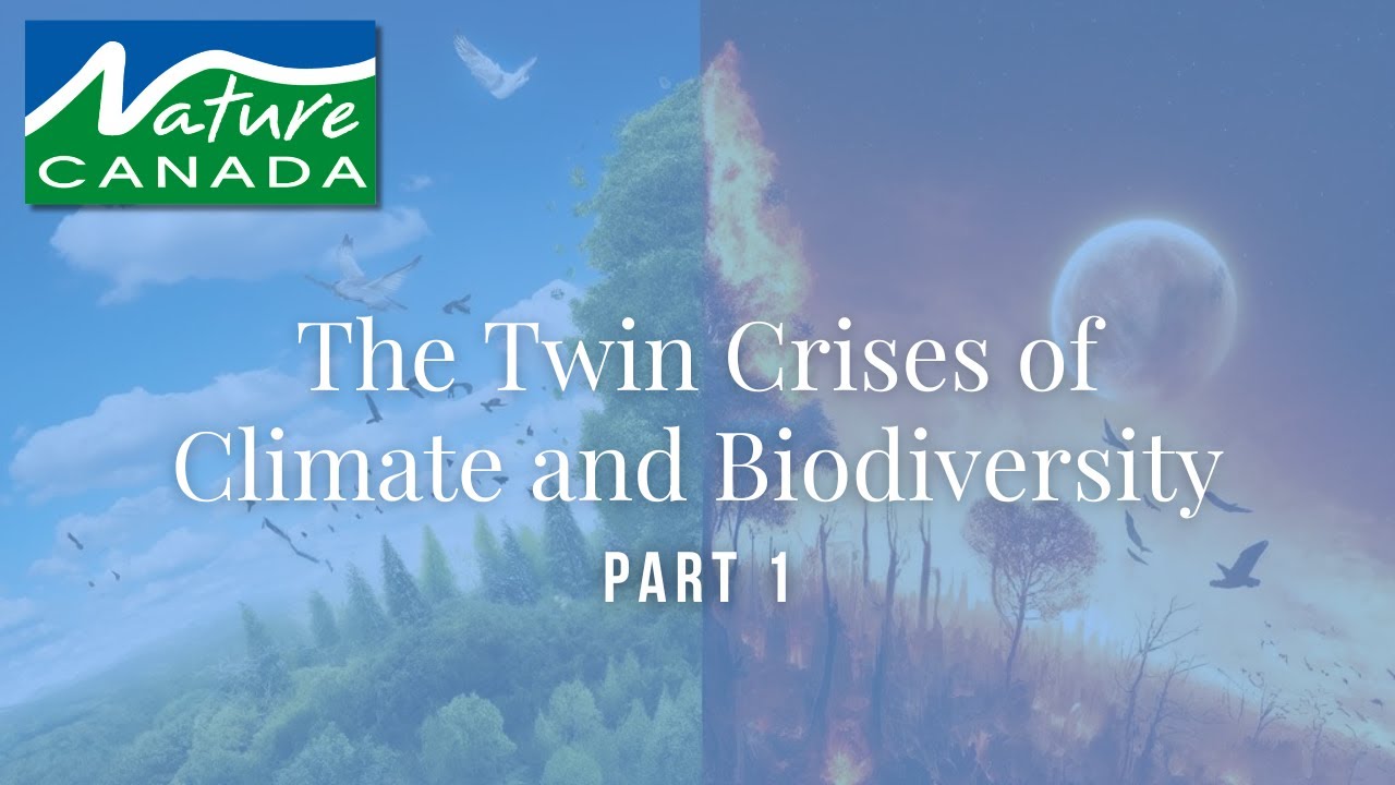 The Twin Crises: CONNECTING CLIMATE AND BIODIVERSITY - YouTube
