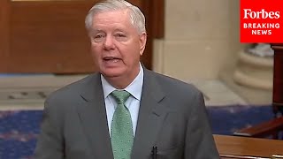 'We Have Made A Serious Mistake In This Bill': Lindsey Graham Rips Biden-McCarthy Debt Limit Deal