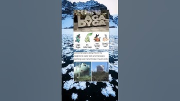 The Lonely Tragedy of Lady Gaga