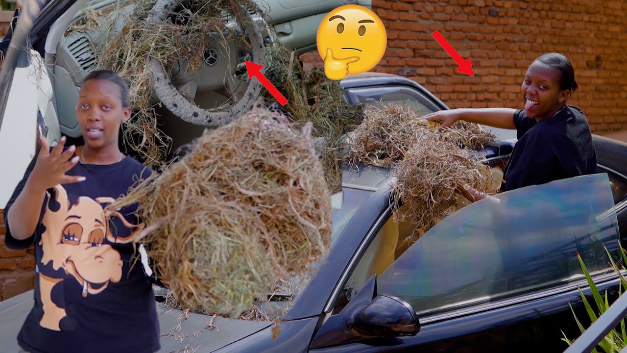 Yoo!ibintu Vanillah arigukora// noneho nagahomamunwa|| Imodoka ayigize igihuru