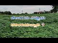 а ња Ђа Іа Ѓа а Ёа Ѓ а Ћа Єа Ќа Єа Ѓа Ўа Ѓ а а Іа їа Їа а Ѓа Ёа Ќа Ёа ѕа Іа ї Jeeluga Should Never Be Mt Siddhu Agriculture Itikalapalli а ња Ђа Іа Ѓа а Ёа Ѓ а Ћа Єа Ќа Єа Ѓа Ўа Ѓ а а Іа їа Їа а Ѓа Ёа Ќа Ёа ѕа Іа ї Jeeluga Should Never Be Mt Siddhu Agriculture Itikalapalli