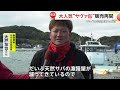 “サバショック”売り場から消える店舗も…漁獲量10年で半減し価格が上昇　愛媛で完全養殖に成功（2026年03月12日）