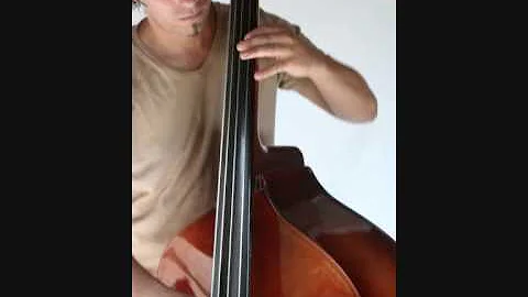 Blues in C - CHRIS EIWEN-bass, GERALD GRADWOHL-gui...