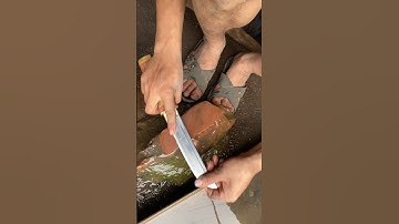 Cách mài dao #dao_phuc_sen