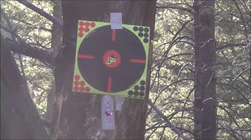 CZ SP 01 Shadow Custom with laser 7 21 18