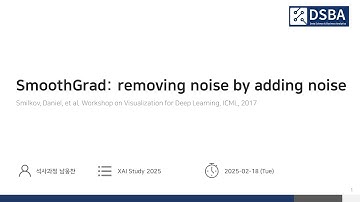 XAI 5주차 Input Attribution Methods 2 SmoothGrad - Part2
