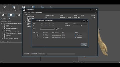 Running Simulations on Remote Servers with Sim4Life’s Networking Client