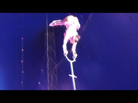 Magic Fantasy Circus-Amazing Sexy Gymnast Girl
