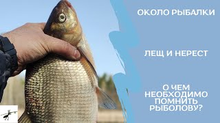 Около рыбалки. Нерест леща. Как влияет на клев? О чем нужно помнить?