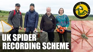 In search of rare UK spiders