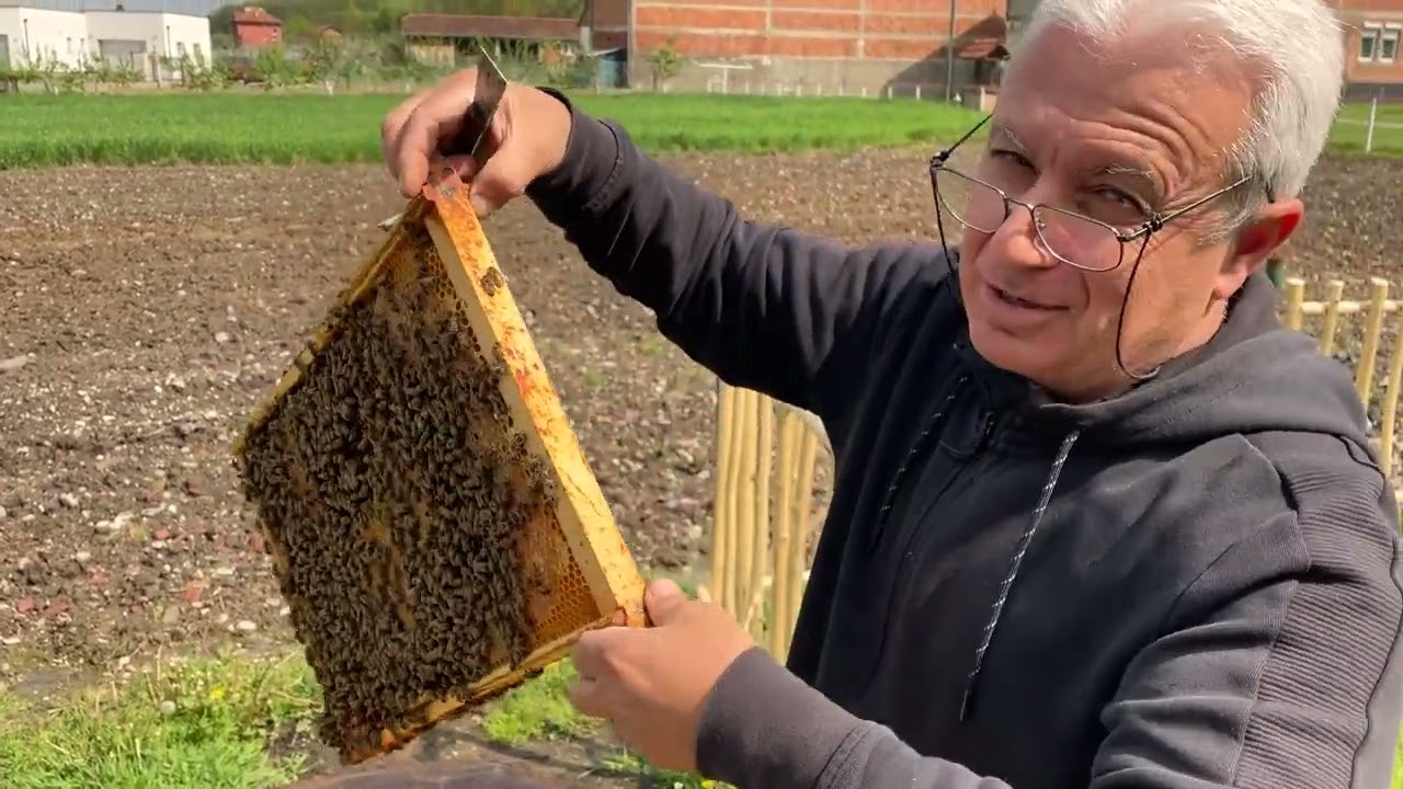 Zgjoi i Bletëve nga trungu i Gështenjes (Pjesa 2)