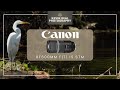 Why The Canon RF600mm f/11 Still Rocks | Long Term Review