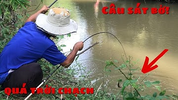 Câu cá chạch sau ngày mưa/lên toàn cá chạch ngon & nhiều cá suối to