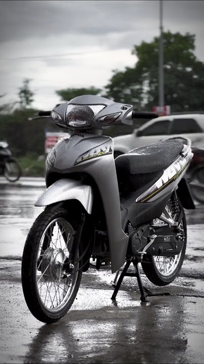 HONDA WAVE ALPHA 110 DEGREE SILVER GRAY