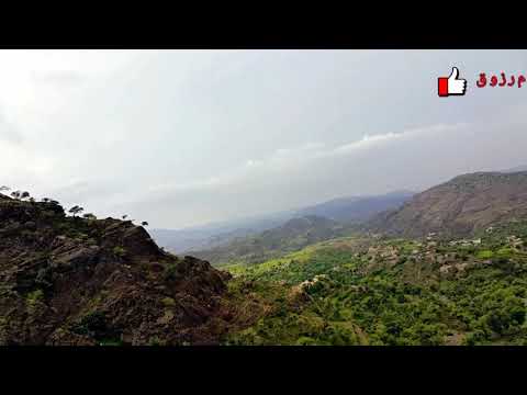 سيبت زرعك جهيش وانت ب عز الشباب