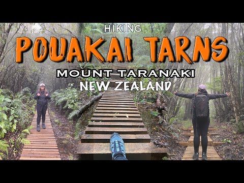 Hiking Pouakai Tarns - BIGGEST REGRET! | Mt Taranaki | New Zealand