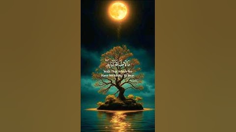 تلاوات خاشعة تريح القلب #قرآن #قران_كريم #قران #تلاوة_خاشعة #تلاوات #راحة_نفسية #مكة #الحرم_المكي