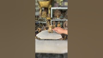 Heo đồng #phongthuy #phongthủy #doco #đồcổ #thếgiớicổxưa #doxua #đồxưa #vậtphẩmphongthủy