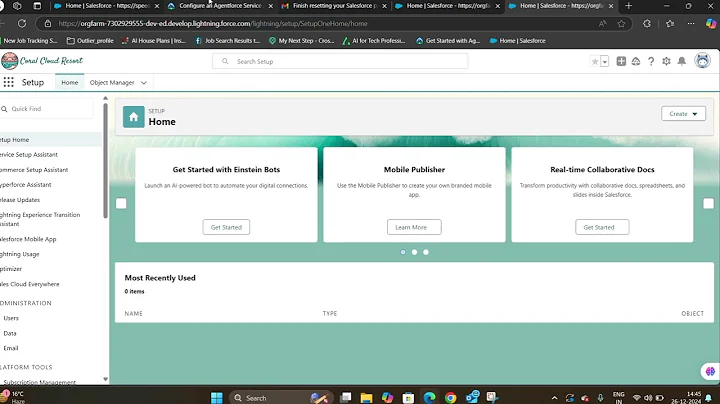 Agentforce Agent Using Salesforce Einstein Trust Layer
