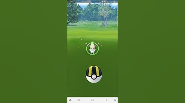 Shiny Eevee Encounter - Pokemon Go