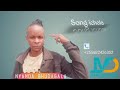 2026 Nyanda Bhudagala Shida Official Audio BY Msambazaji Hede Ngasa Online 
