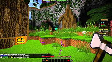 [REPORT] Hacker in Sheep Quest!