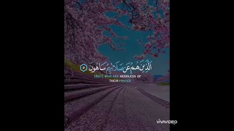 " أرأيت الذي يكذب بالدين فذلك الذي يدع اليتيم "    #سورة_الماعون
