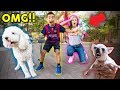 I BOUGHT A DOG WITHOUT MY MOMS PERMISSION!! *PRANK GONE WRONG* | The Royalty Family