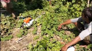 Download lagu 24 Juli/Tiang induk umma MANAKAHO Ratenggo Desa maliti Bondo Ate(PATUNU IKIT)