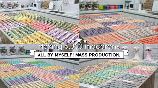 Making 5,300 Macarons all by myself! Collection of Mass Production.