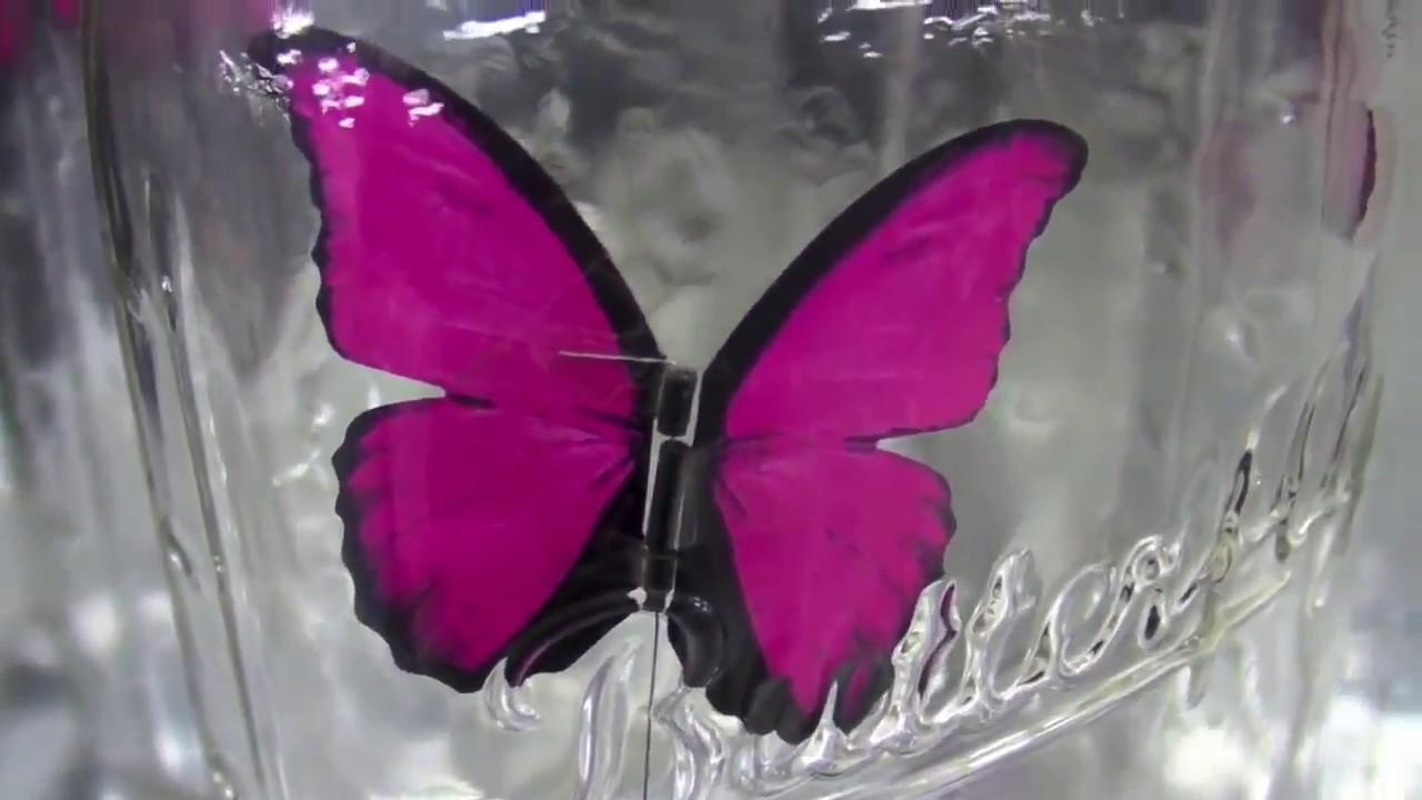 Электронные бабочки купить. Бабочка робот летающая. Электронная бабочка. Баночка с бабочками. Робота "бабочка" севгуальчаков.