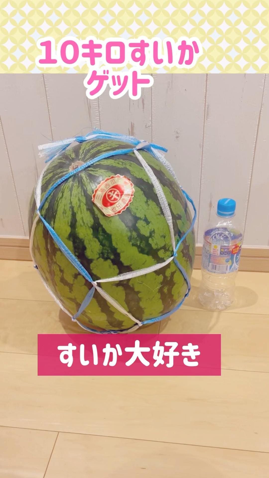すいか大好き #shorts #スイカ#大好き - YouTube