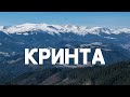 Кринта: фіолетове щастя!