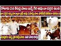 World Highest Milking Gir Cow 24 Liter Milk record for day | Young Farmer Shivaji About Desi Cows