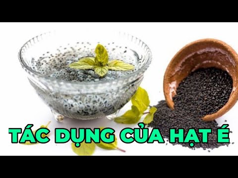 Video: Hỏi bác sĩ thú y: Tôi có nên cho chó của tôi bổ sung axit béo Omega không?