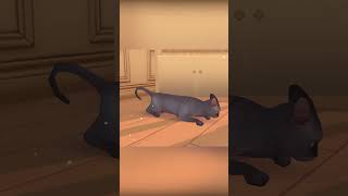 Cat Rescue Story - Summer Update #shorts screenshot 2