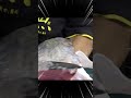 How to remove scales from a tuna tail