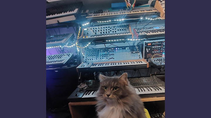 Blibs'nBuzzn