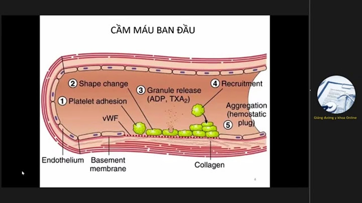 Cac nuoc tham gia aptt la nhung nuoc nào năm 2024