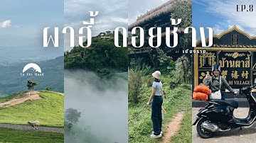 เที่ยวเชียงราย บ้านผาฮี้ ดอยช้าง Road trip สูงสุดแดนสยาม | To the mood EP.8