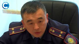 Штрафы за хвостатых питомцев Штрафы за хвостатых питомцев
