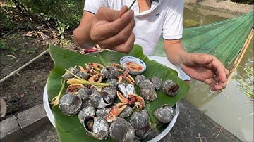 Cách Làm Ốc Bưu và Càng Cua Đồng Nổ Muối - Ốc Giòn, Càng Cua Ngọt Mà Hơi Mặn - Món Ngon Cuộc Sống