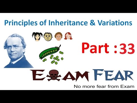 Biology Inheritance Principle part 33 (Genetic map examples) class 12 XII thumbnail
