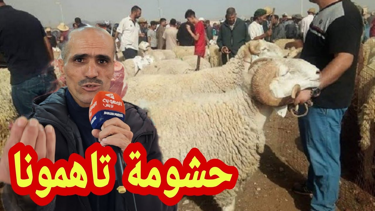 شناق يخرج عن صمته بعد إلغاء شعيرة الذب.ح للعيد حنى مع قرار الملك محمد السادس ولاكن حشومة تاهمونا