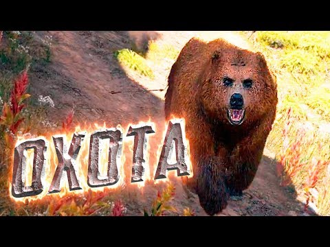 ОХОТА НА ГРИЗЛИ 🗽 FAR CRY 5 🗽 Похождения #11