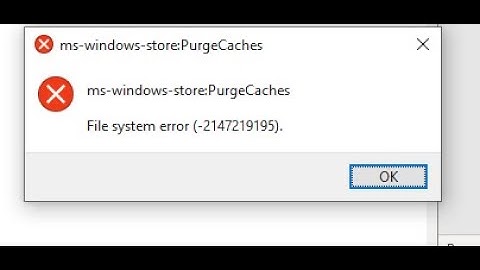ms windows store purge caches file system error in 2023 | 4 Ways