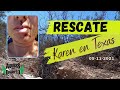 Aguilas del Desierto - Rescate - Karen en Texas