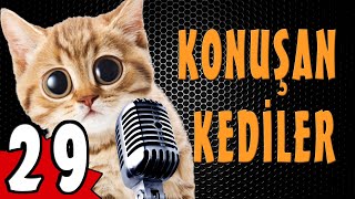 Konuşan Kediler 29 - En Komik Kedi Videoları