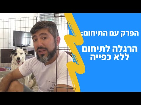 וִידֵאוֹ: מדוע גורים וחתלתולים זקוקים לכל כך הרבה מגברים?