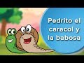 Pedrito, el caracol y la babosa | Cuento para incentivar la generosidad en los niños 🐌